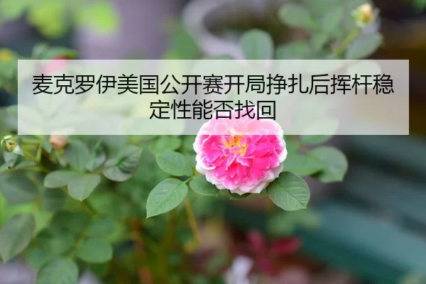麦克罗伊美国公开赛开局挣扎后挥杆稳定性能否找回