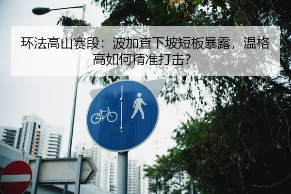 环法高山赛段：波加查下坡短板暴露，温格高如何精准打击？