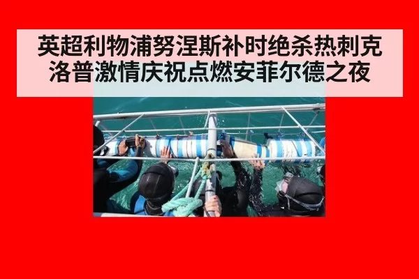 英超利物浦努涅斯补时绝杀热刺克洛普激情庆祝点燃安菲尔德之夜